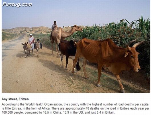 Worlds Most Dangerous Roads