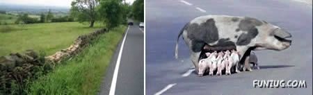 Worlds Most Dangerous Roads