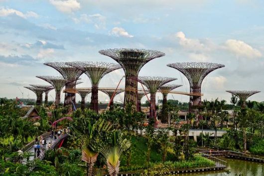 Stunning Super Forest In Singapore