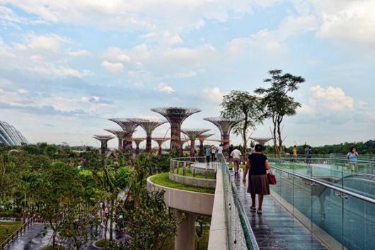 Stunning Super Forest In Singapore