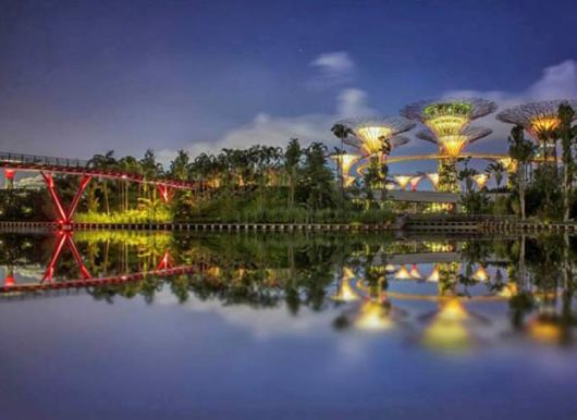 Stunning Super Forest In Singapore