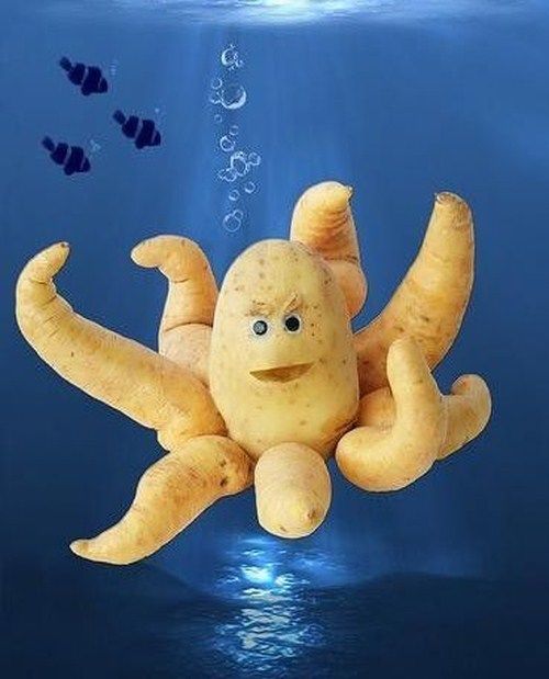 Funny Foody People Art