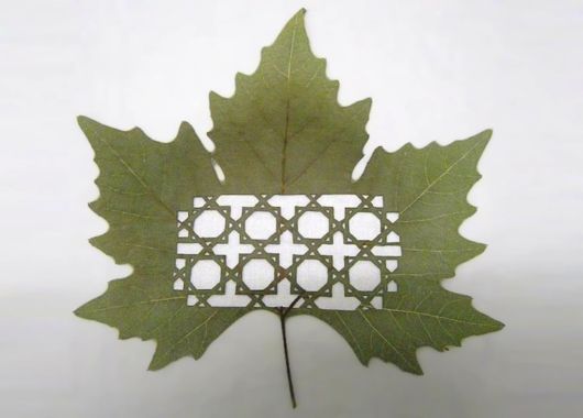 Stunning Leaf Carving Artwork