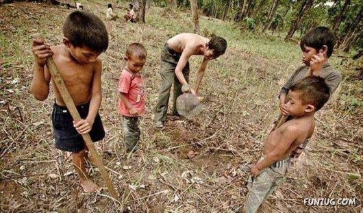 Children In Cambodia Eat Spiders