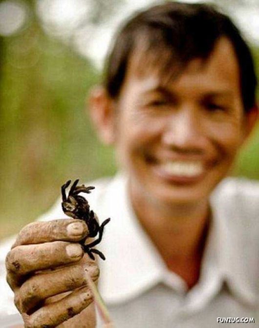 Children In Cambodia Eat Spiders