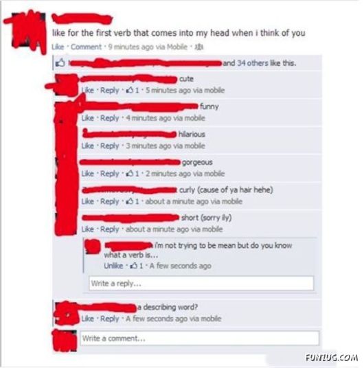 roof From Facebook That People Are Idiots