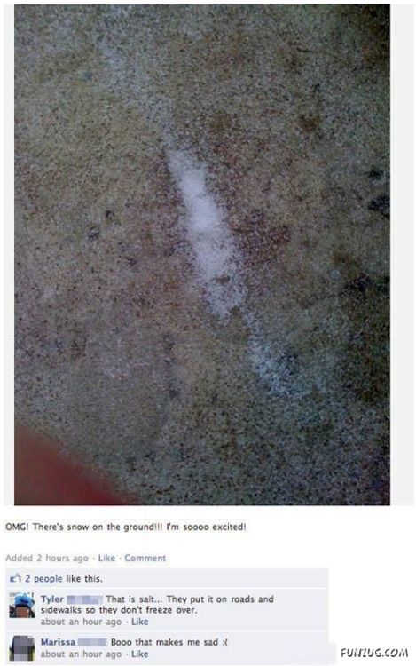 roof From Facebook That People Are Idiots