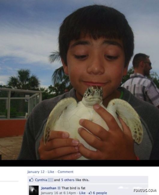 roof From Facebook That People Are Idiots