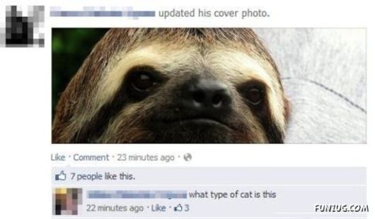 roof From Facebook That People Are Idiots