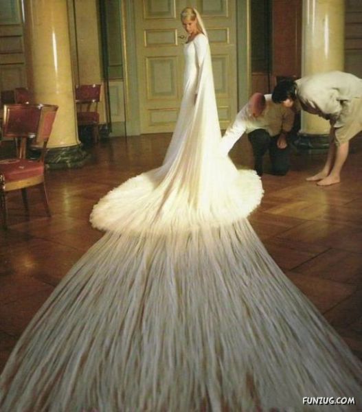 Hilarious Wedding Dresses
