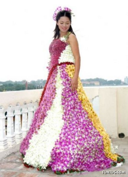 Hilarious Wedding Dresses