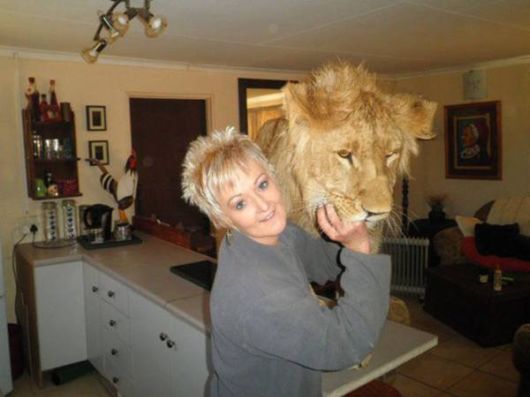 An Unusual Guest House In South Africa