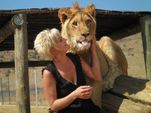 An Unusual Guest House In South Africa