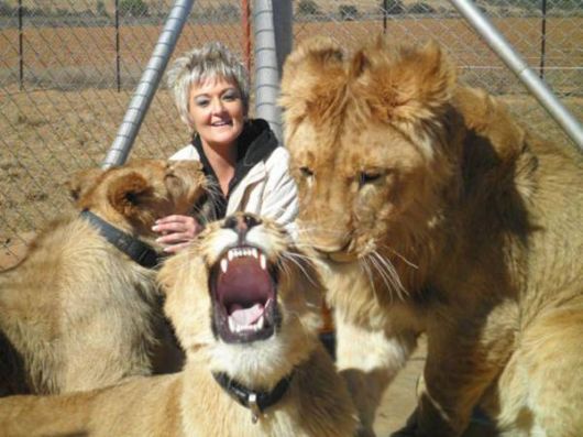 An Unusual Guest House In South Africa