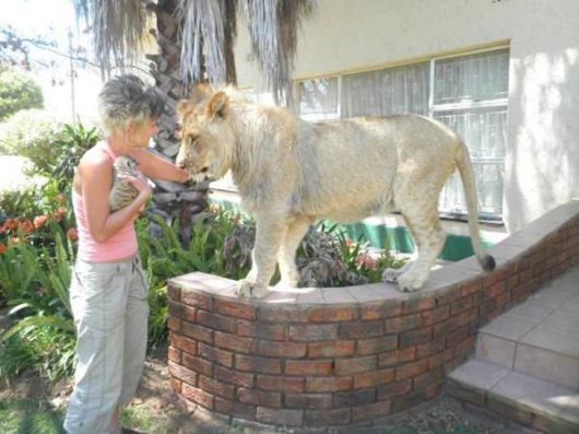 An Unusual Guest House In South Africa