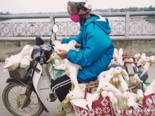 Whoa Dude! (Crazy Pictures)