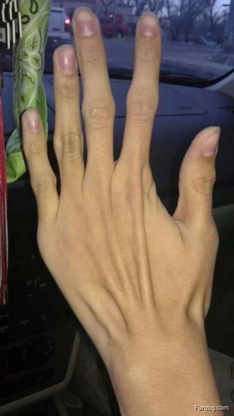 Whoa Dude! (Crazy Pictures)