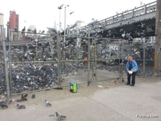 Whoa Dude! (Crazy Pictures)