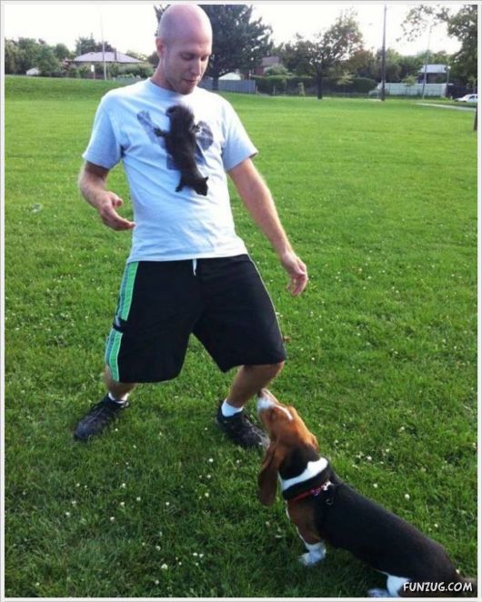 Cool Funny Pictures Fun