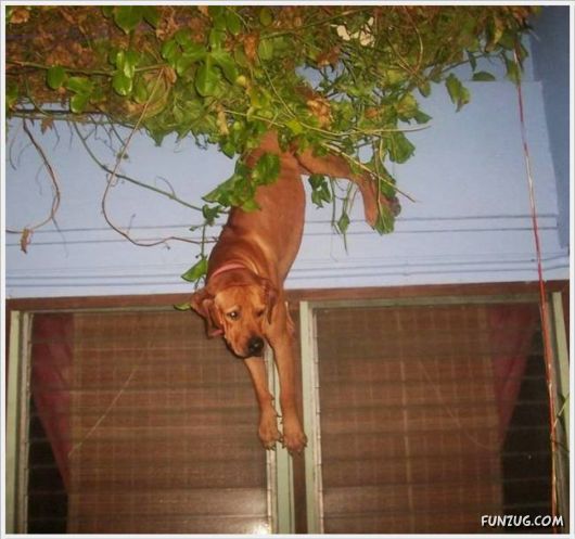 Cool Funny Pictures Fun