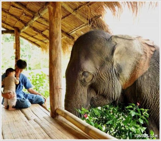 Cool Funny Pictures Fun