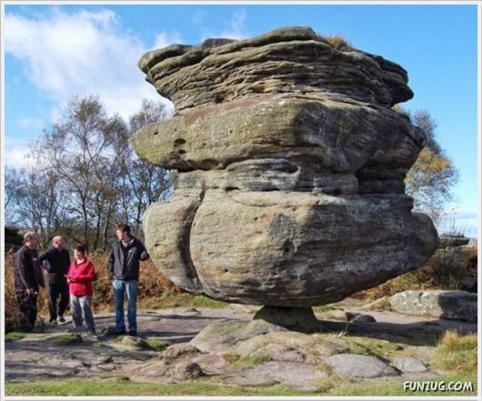 Cool Funny Pictures Fun