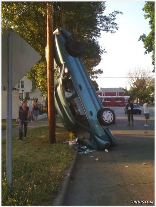 Cool Funny Pictures Fun