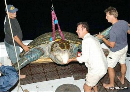 Cool Funny Pictures To Make You Smile