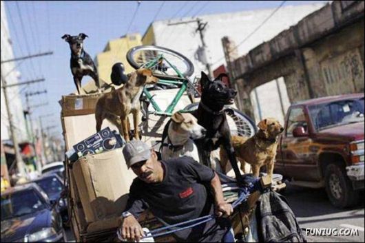 Cool Funny Pictures To Make You Smile