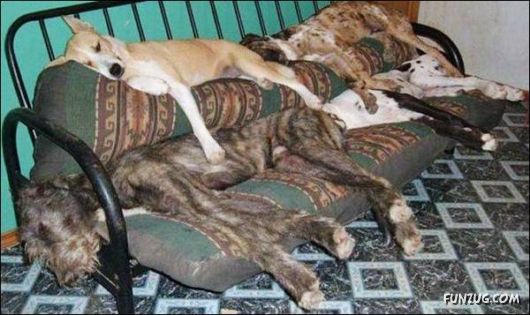 Cool Funny Pictures To Make You Smile