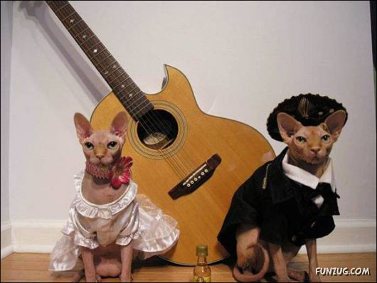 Cool Funny Pictures To Make You Smile