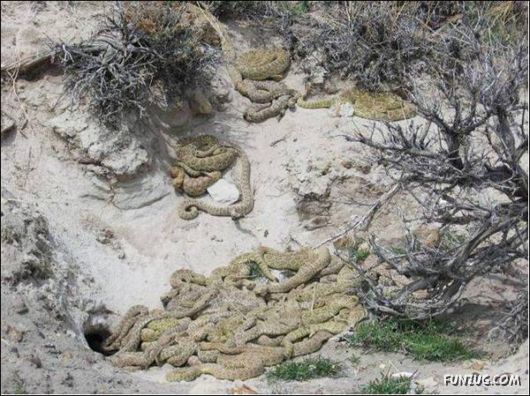 Cool Funny Pictures To Make You Smile