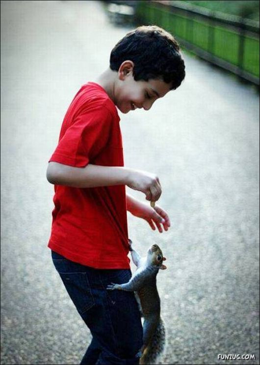 Cool Funny Pictures To Make You Smile