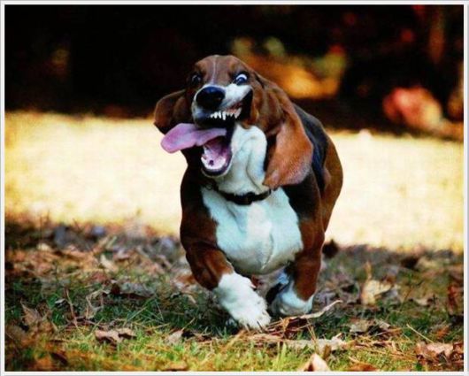 Cool Funny Pictures Of The Week