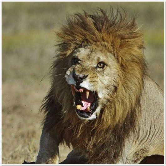 Cool Funny Pictures Of The Week