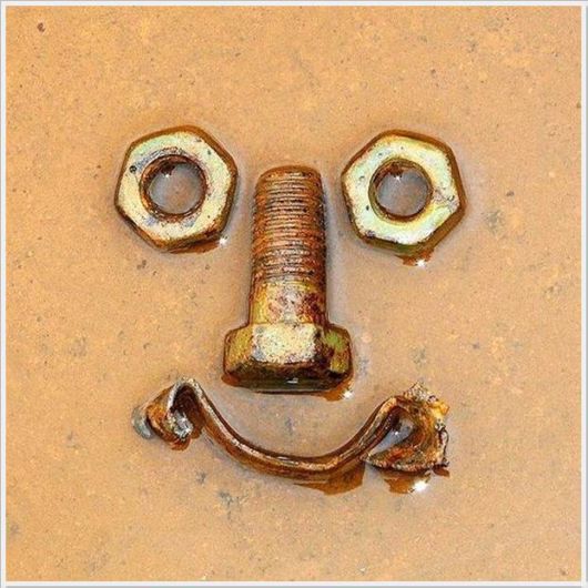 Cool Funny Pictures Of The Week