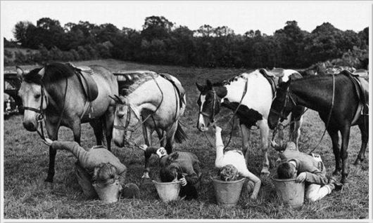 Cool Funny Pictures Of The Week