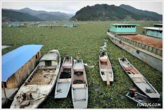 Cool Funny Pix Of The Day