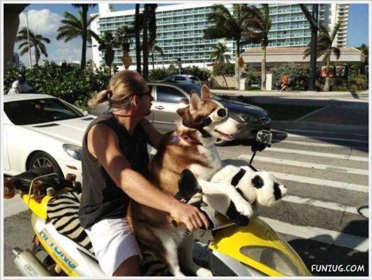 Cool Funny Pix Of The Day