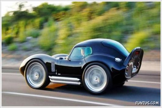 Cool Funny Pix Of The Day