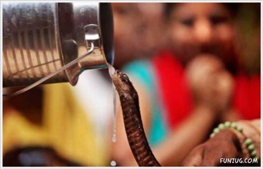 Cool Funny Pix Of The Day