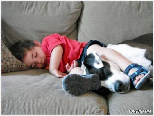 Cool Funny Pix Of The Day