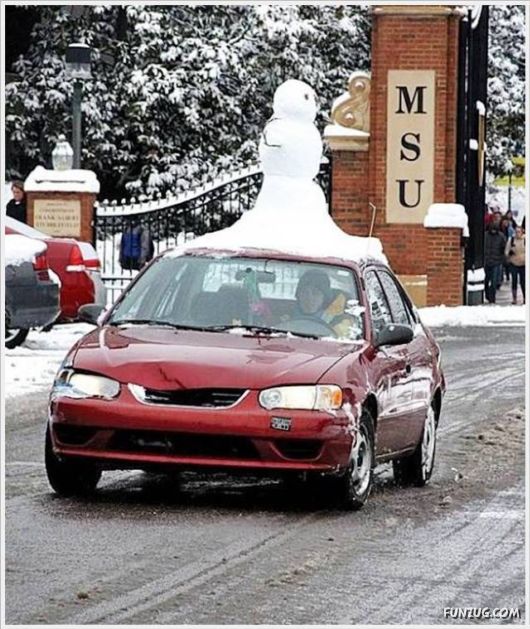 Cool Funny Pix Of The Day