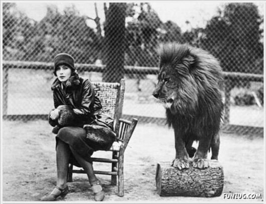 Cool Funny Pix Of The Day