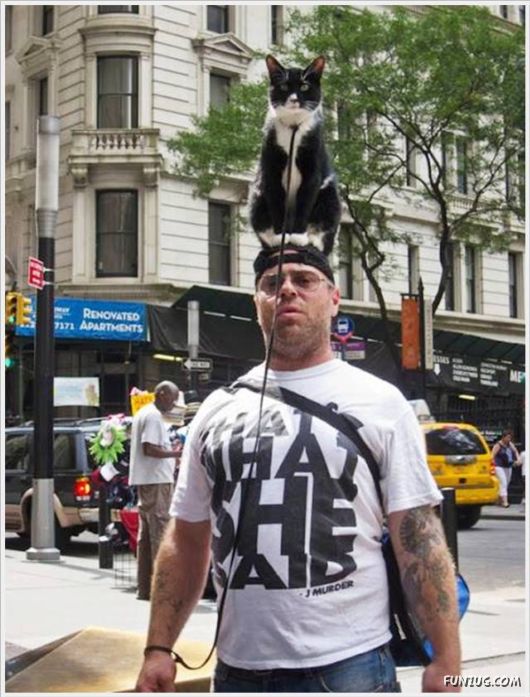 Cool Funny Pix Of The Day