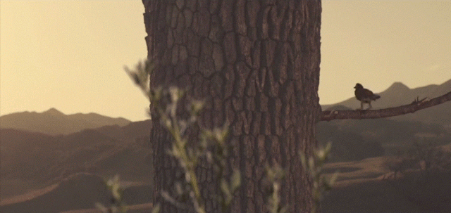 Funny Animated Pictures Of The Day