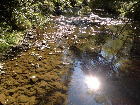 Funny Animated Pictures Of The Day