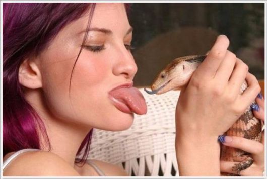 Funny Cool Pix Collection