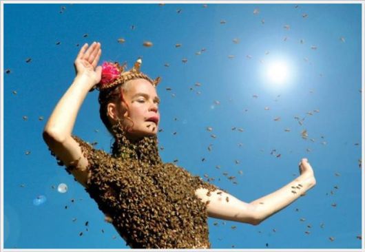 Funny Cool Pix Collection