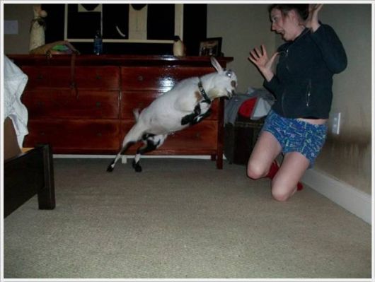 Funny Cool Pix Collection